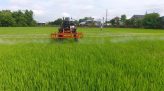 Câu chuyện giao thông - 17/10/2020: Cẩn trọng với những cái bẫy trên quốc lộ 30