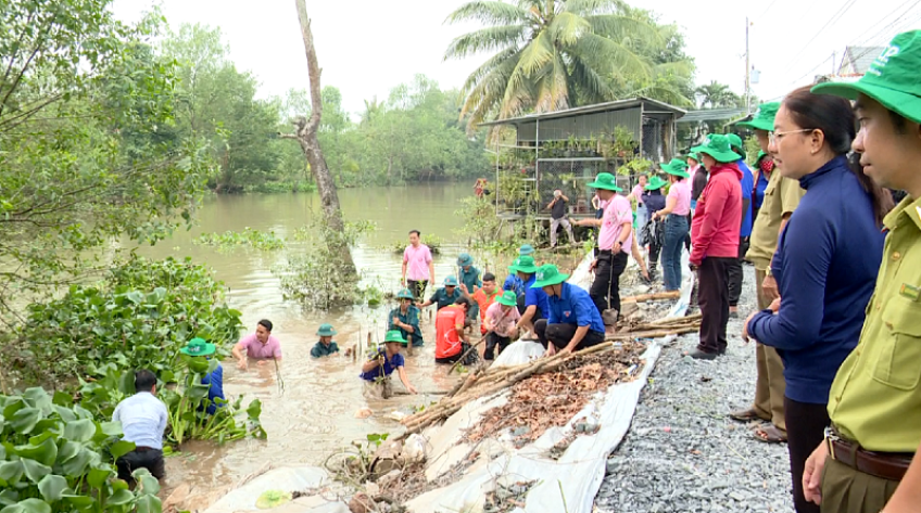Đồng Tháp: Thực hiện giải pháp mềm phòng chống sạt lở