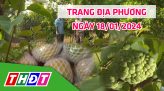 Trang địa phương - Thứ Sáu, 26/01/2024 - H.Lấp Vò