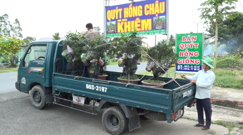 Nông sản lên chậu phục vụ thị trường Tết