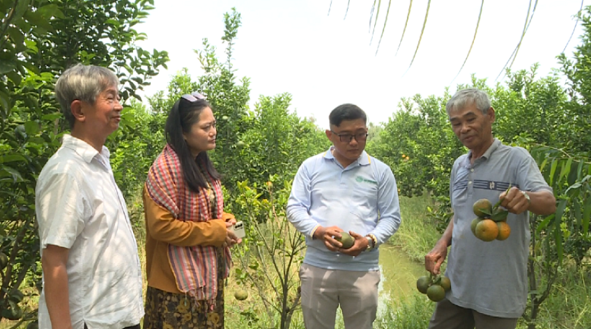 Để những mùa cam không còn 