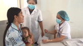 Rủi ro giảm mè trồng lúa trong vụ Hè