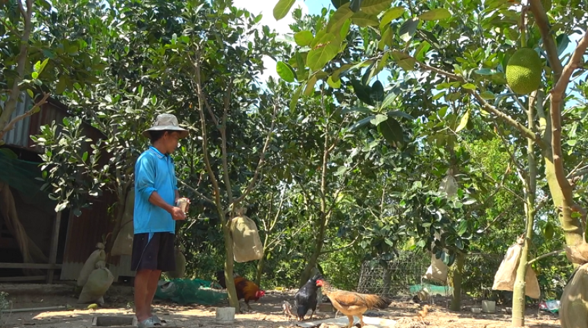 Dự án cao tốc Cao Lãnh - An Hữu: Người dân chủ động tìm sinh kế mới