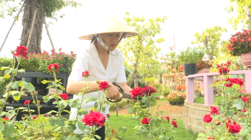 Nuôi dưỡng đam mê phát triển nghề hoa kiểng