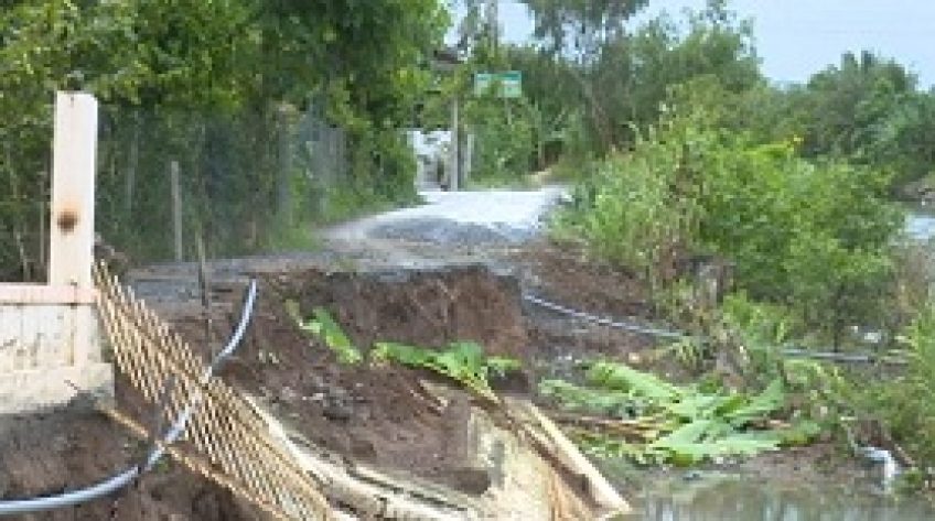 Lai Vung: Sạt lở gần 30 mét đường nông thôn