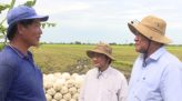 Sunrice tìm vùng nguyên liệu lúa 5.000 ha/vụ tại Đồng Tháp
