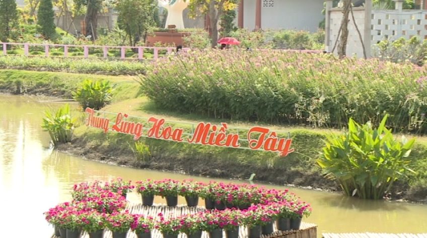Sẵn sàng Tuần lễ Văn hoá Du lịch Đồng Tháp