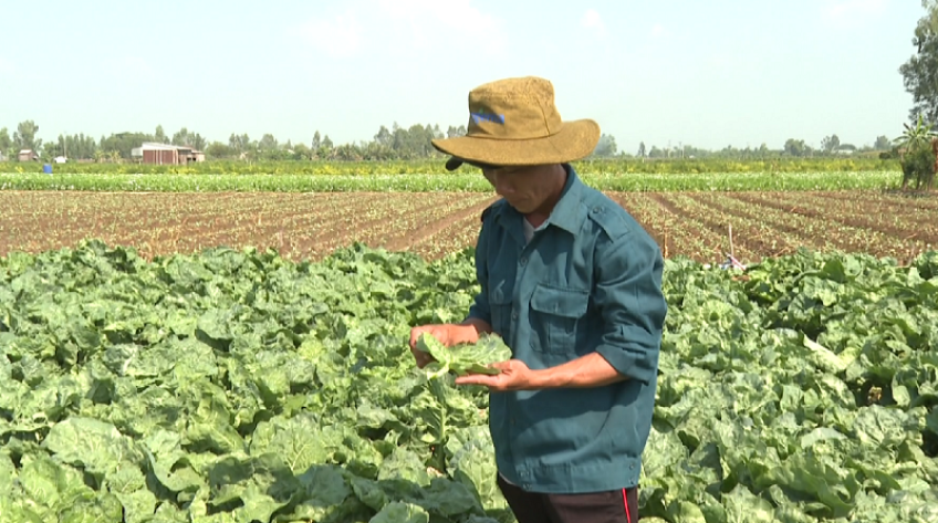 Diện mạo sức sống mới trên vùng biên Đồng Tháp