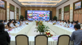 Rủi ro giảm mè trồng lúa trong vụ Hè