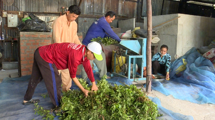 Tấm lòng sống vì mọi người của tổ tầm dược ở vùng biên