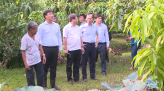 Khảo sát các khu xử lý rác thải ở H.Tam Nông