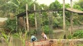 Khảo sát các khu xử lý rác thải ở H.Tam Nông