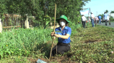 Hệ thống xét nghiệm Sars-CoV-2 tại Đồng Tháp bắt đầu hoạt động