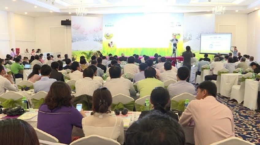 Xu hướng và thách thức mới của ngành lúa gạo Việt Nam