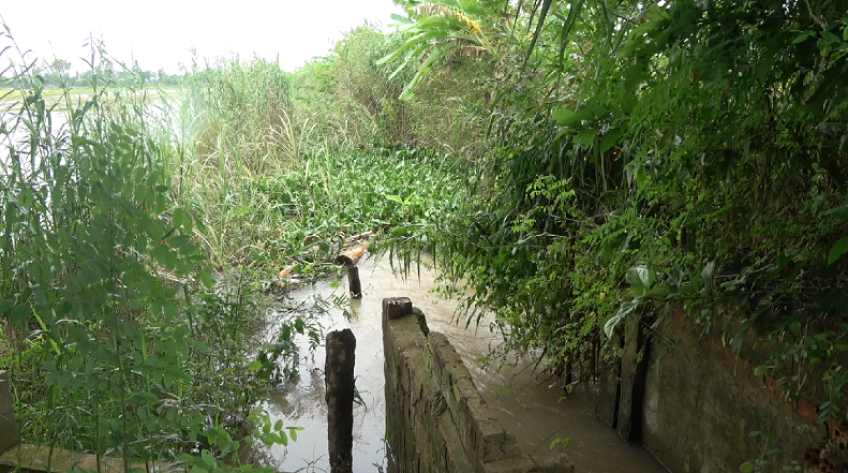 Đường nước bị chặn lối, nông dân gặp khó trong tưới tiêu