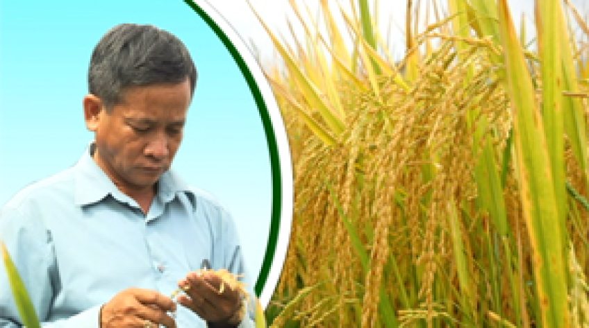 Gặp gỡ nhà khoa học của nông dân