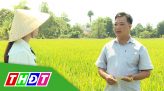 Khởi nghiệp - 19/03/2021: Trà thiên lý Duy Đôn