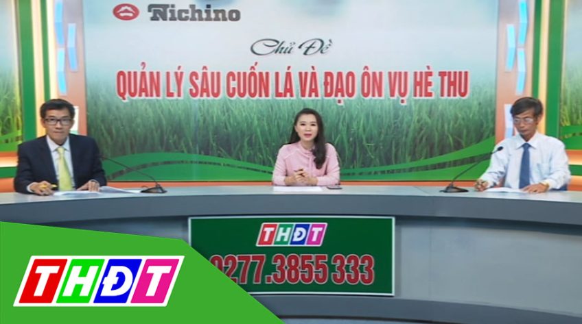 Trực tiếp khuyến nông - 20/04/2020: Quản lý sâu cuốn lá và đạo ôn vụ hè thu