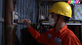 Tiềm năng phát triển cây tre