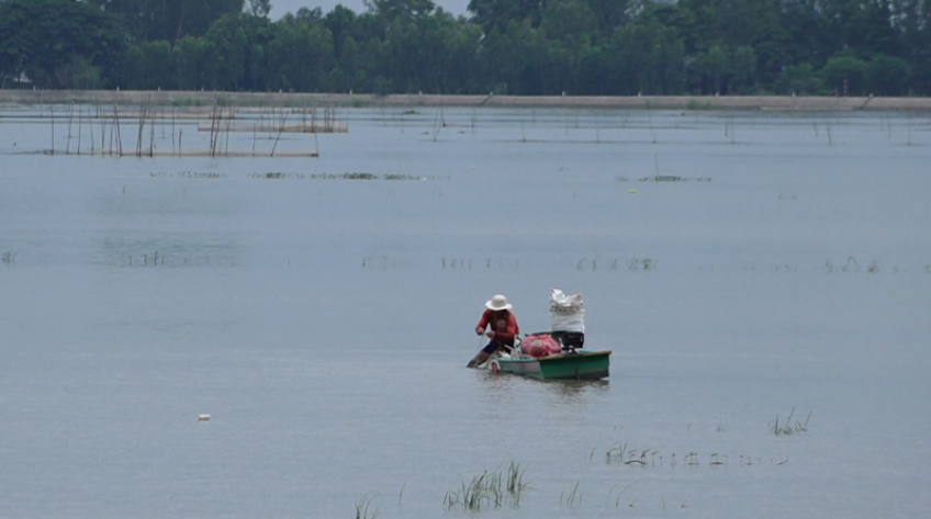 Mưu sinh mùa nước nổi