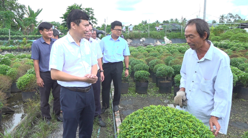 Cần chủ động di dời hoa kiểng ứng phó triều cường