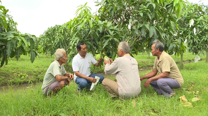 Để vườn cây ăn trái phát triển bền vững với mùa nước nổi