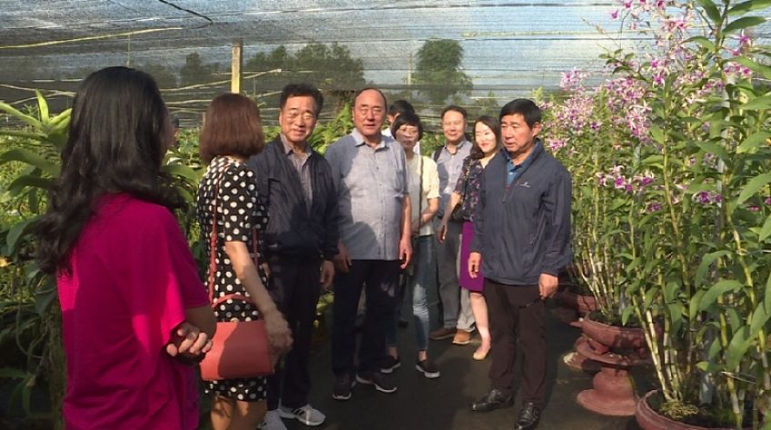 Đoàn công tác Hàn Quốc tham quan doanh nghiệp tại Đồng Tháp