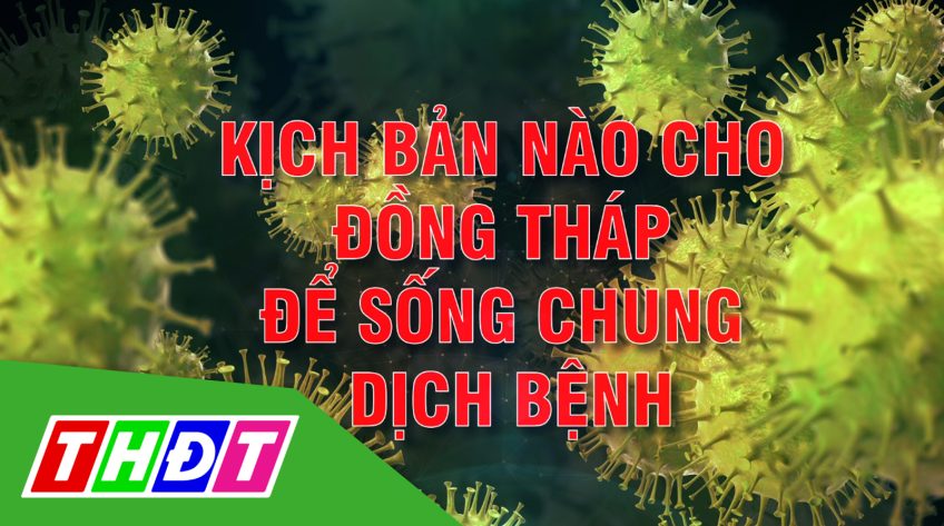 Kịch bản nào cho Đồng Tháp để sống chung với dịch bệnh?