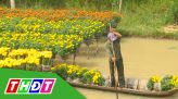 Tây ăn Tết ta - 03/02/2022: Tảo mộ