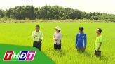 Cánh đồng hội nhập - Số 10 - 16/4/2022: APPROACH - Giải pháp để 