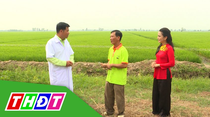 Cánh đồng hội nhập - 07/02/2021: Chắp cánh nông sản Việt
