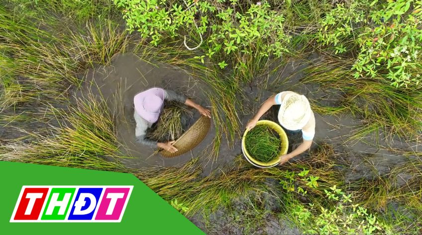 Ký sự Nắng gió biên thùy - Tập 5 - 06/02/2021