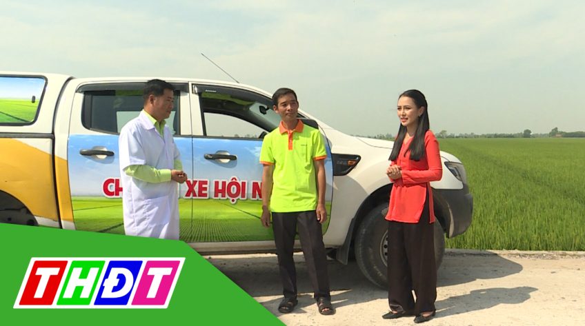 Cánh đồng hội nhập - 23/01/2021: Mát cây, đầy hạt