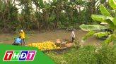 Tây ăn Tết ta - 03/02/2022: Tảo mộ