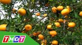 Chuyến xe ngày tết - Vui xuân cùng VFC - 04/02/2022 (Mùng 4 Tết)