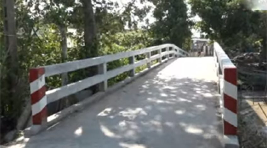 Học Bác từ những việc làm thiết thực