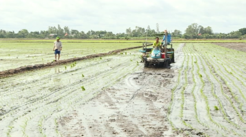 Giảm giá thành sản xuất bằng làm ăn tập thể