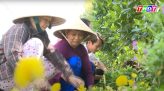 Giá xăng, dầu tăng lần thứ 2 trong tháng 10