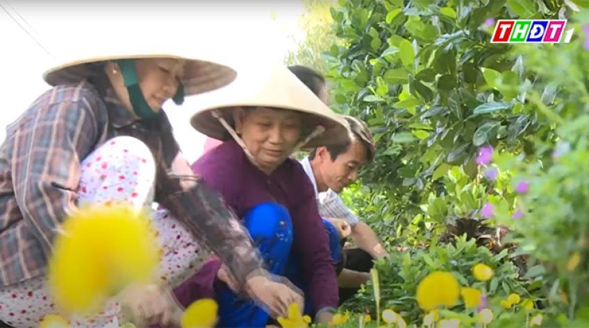 Một nữa bầu trời xanh của nông thôn mới