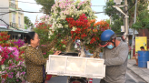 Nỗi niềm của những người bán hoa Tết