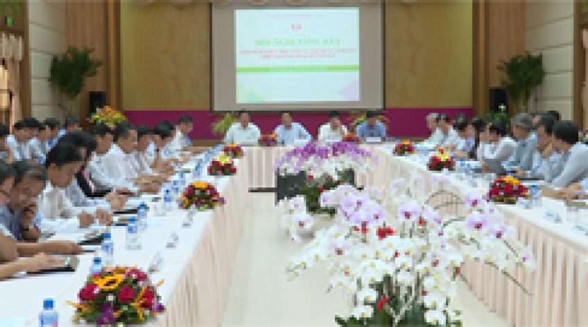 Phấn đấu giải ngân vốn đầu tư công năm 2019 đạt trên 90%