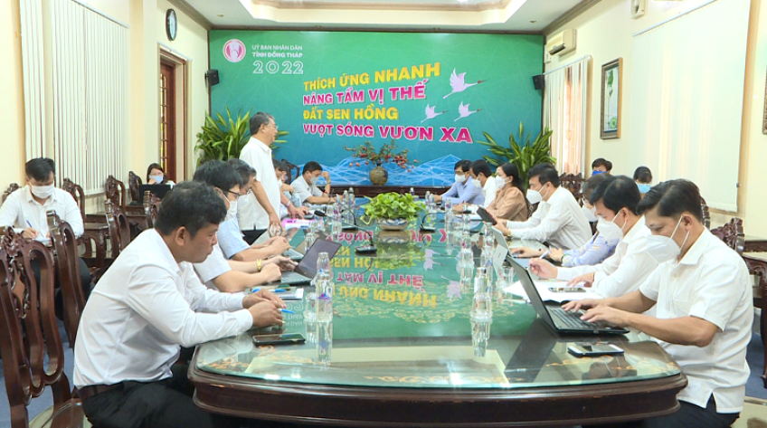 Định hướng tổ chức Festival hoa tại TP.Sa Đéc