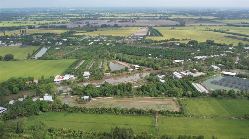 Giá đất ở thuộc Dự án cao tốc Cao Lãnh - An Hữu được xác định như thế nào?