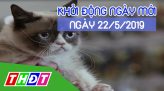 Nhịp sống 24H - Thứ Tư, 22/5/2019