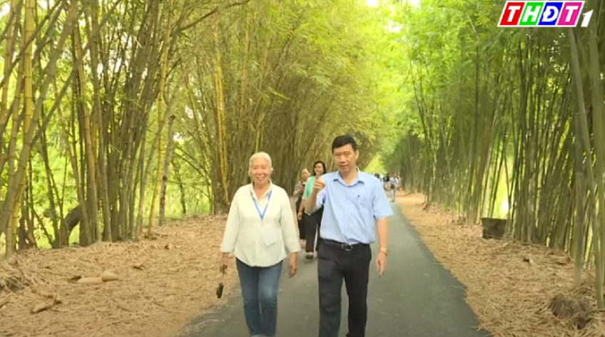 Tiềm năng phát triển cây tre