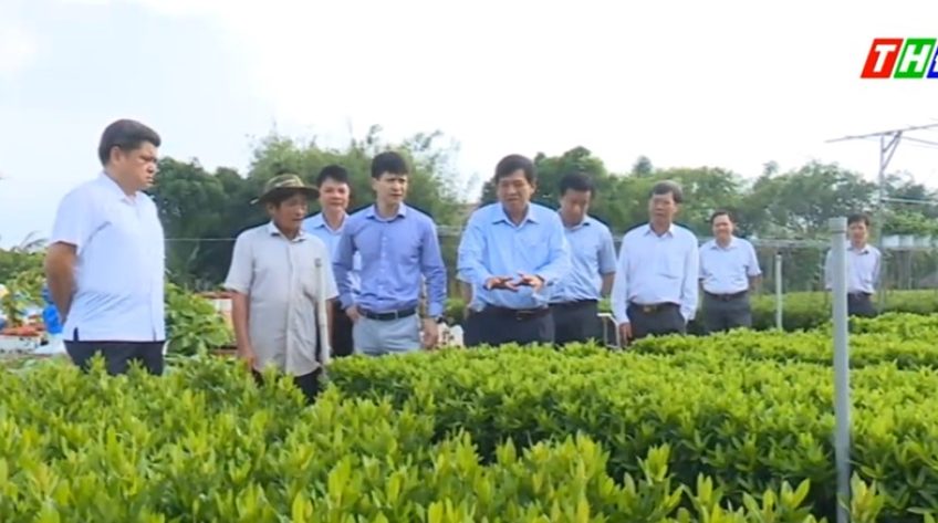Xây dựng làng hoa Sa Đéc thành làng văn hóa du lịch