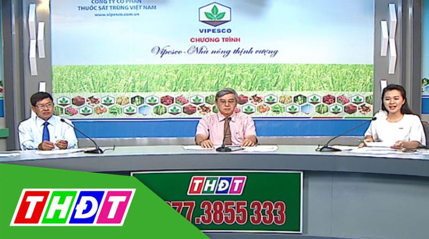 Tư vấn khuyến nông - 22/11/2019 - Phòng trừ đạo ôn và vi khuẩn lúa đông xuân