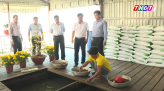 Chủ tịch UBND tỉnh Đồng Tháp thăm Công ty Cổ phần Thực phẩm Sen Đại Việt