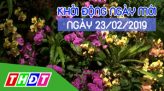 Nhịp sống 24h - Chủ Nhật, 24/02/2019