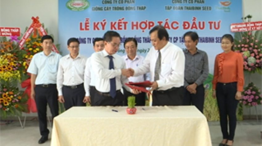 ThaiBinh Seed và Doseco hợp tác đầu tư giống cây trồng